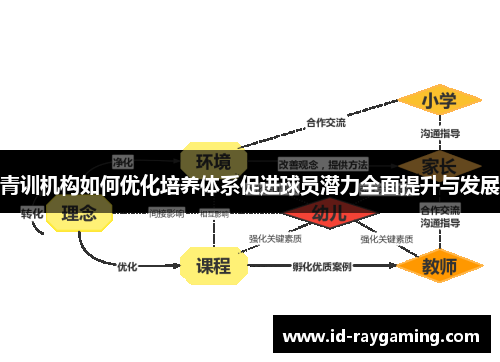 青训机构如何优化培养体系促进球员潜力全面提升与发展