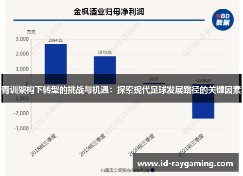 青训架构下转型的挑战与机遇：探索现代足球发展路径的关键因素