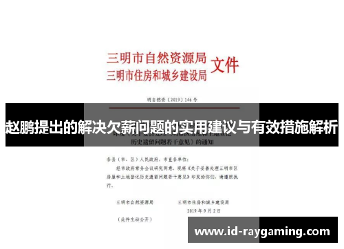 赵鹏提出的解决欠薪问题的实用建议与有效措施解析